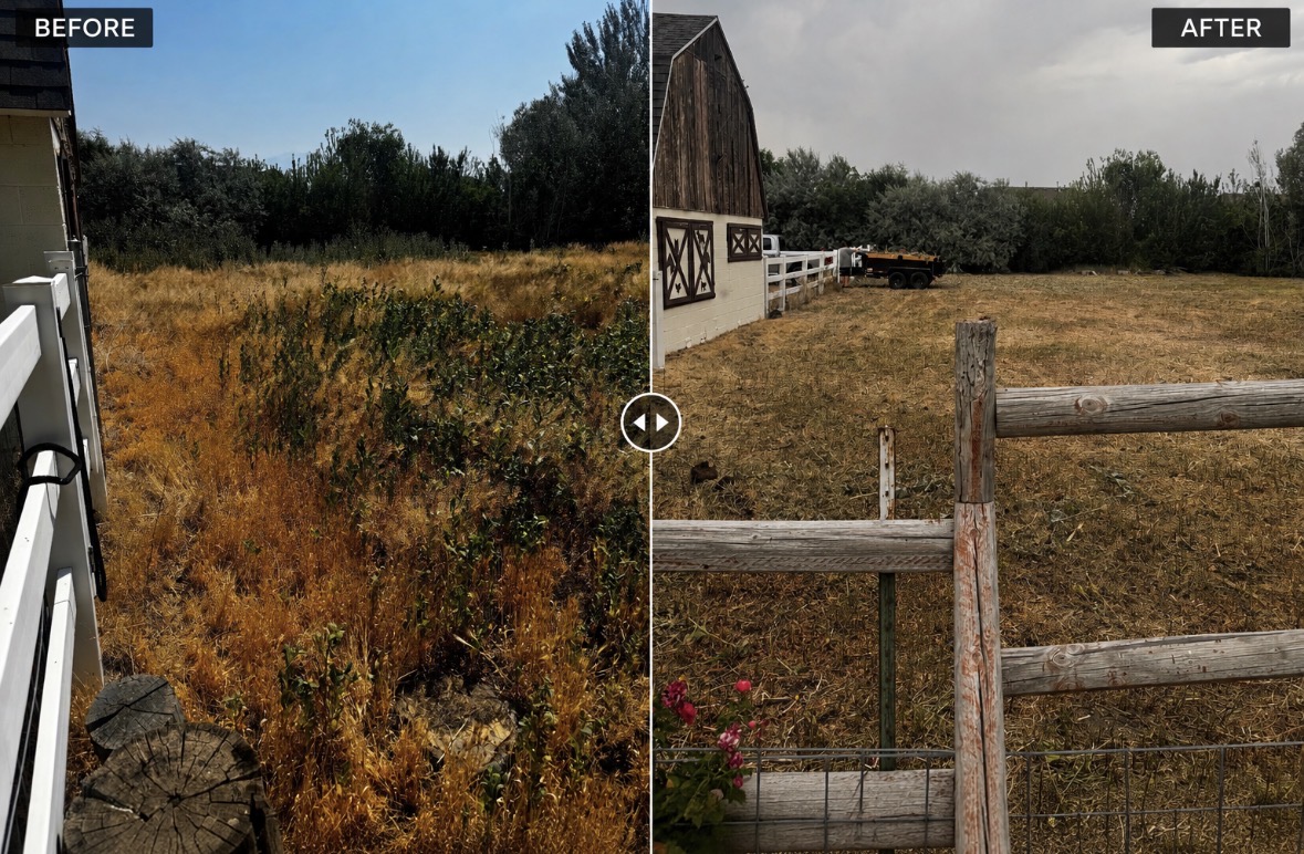 Before and after Kelson landscape renovation project